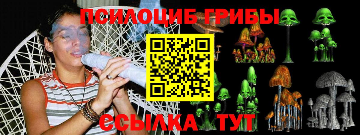 Галлюциногенные грибы прущие грибы Мыски