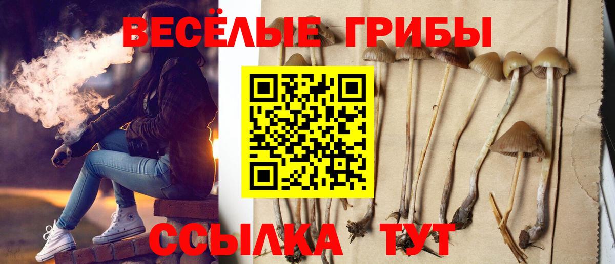 Мыски  Псилоцибиновые грибы GOLDEN TEACHER  продажа наркотиков  Вход с VPN  Псилоцибиновые грибы Magic Shrooms 