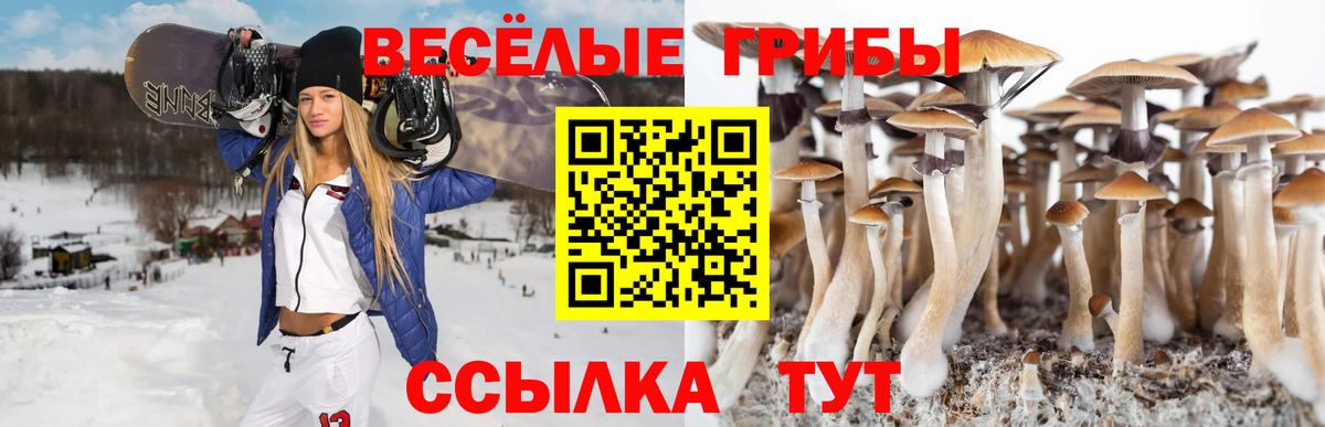 ГАШ  Кодеин  Меф   Гашиш  Кокаин  Мыски  Марихуана  Вход с VPN 